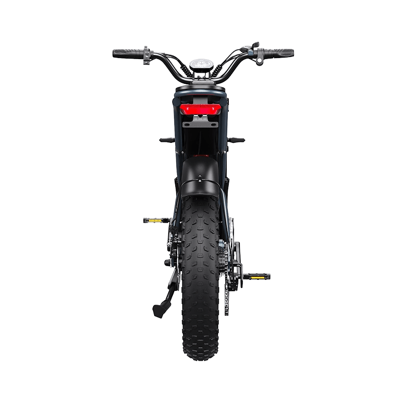 DEEPOWER QS7 | Hochleistungs-Elektrofahrrad (20 Ah - 60 Ah Optionen)