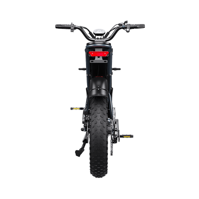 DEEPOWER QS7 | Hochleistungs-Elektrofahrrad (20 Ah - 60 Ah Optionen)