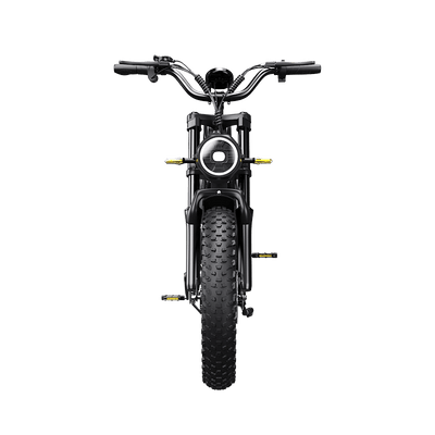 DEEPOWER QS7 | Hochleistungs-Elektrofahrrad (20 Ah - 60 Ah Optionen)