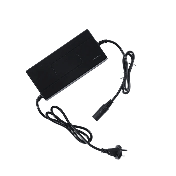 Deepower Battery Charger