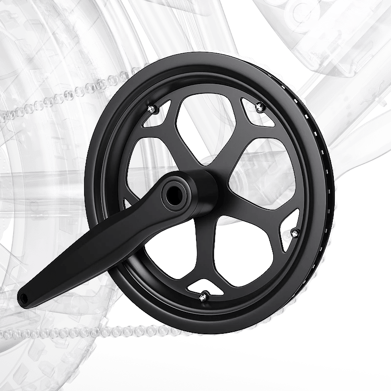 Crank Arm Only for DEEPOWER E-Bikes